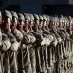 Askerde Kalmak: Nasıl Kalınır? Tüm Bilgiler