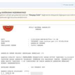 Askerlik Durumu Nasıl Sorgulanır?
