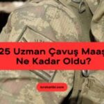 Uzman Çavuş Maaş Tablosu 2025: En Detaylı Grafiklerle